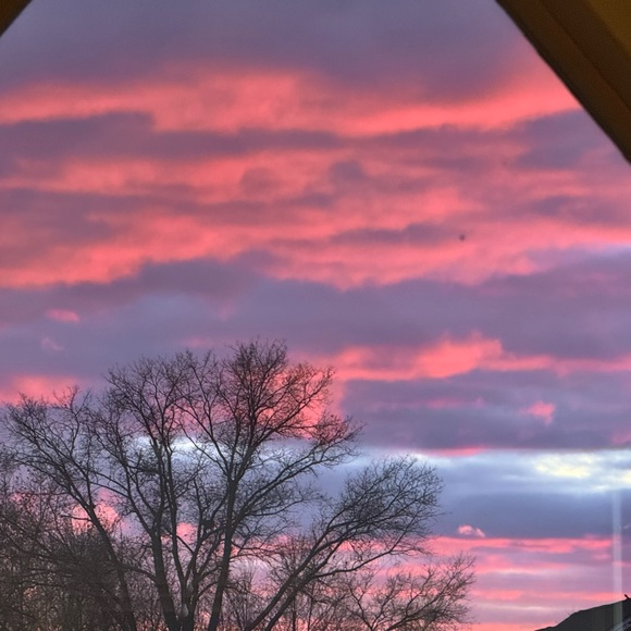 Meet your Posher, Mimoza - Picture 1 of 1